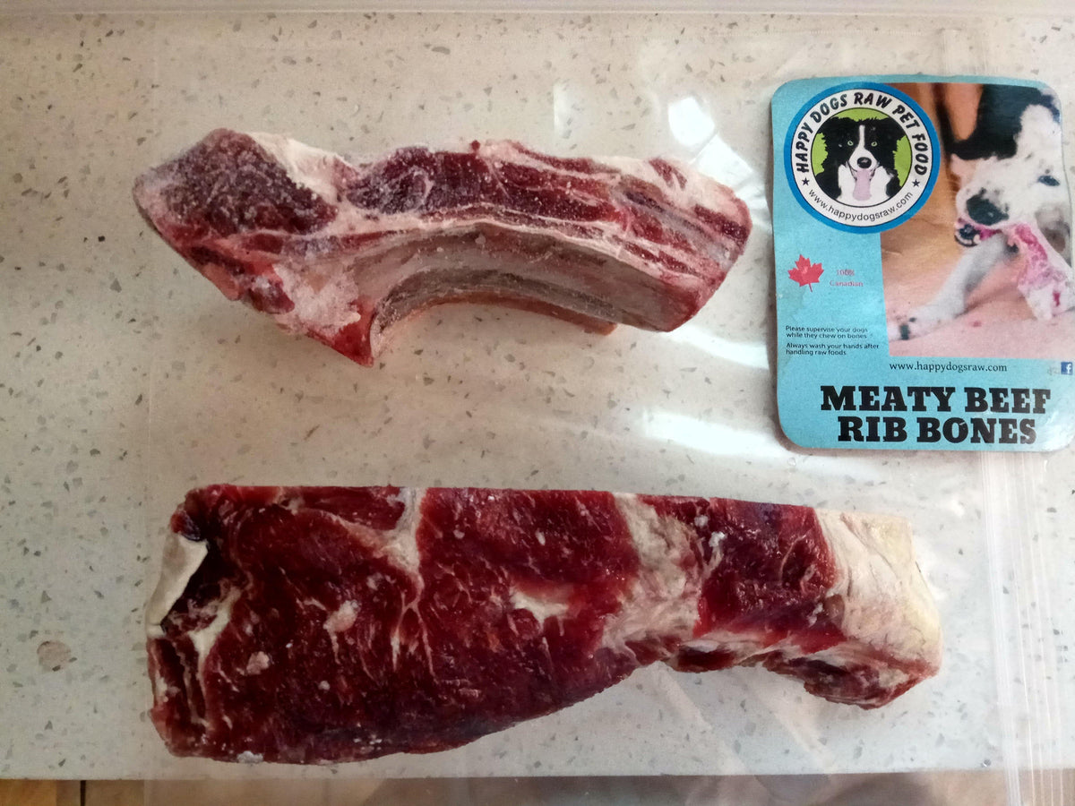 Raw steak bones for 2024 dogs